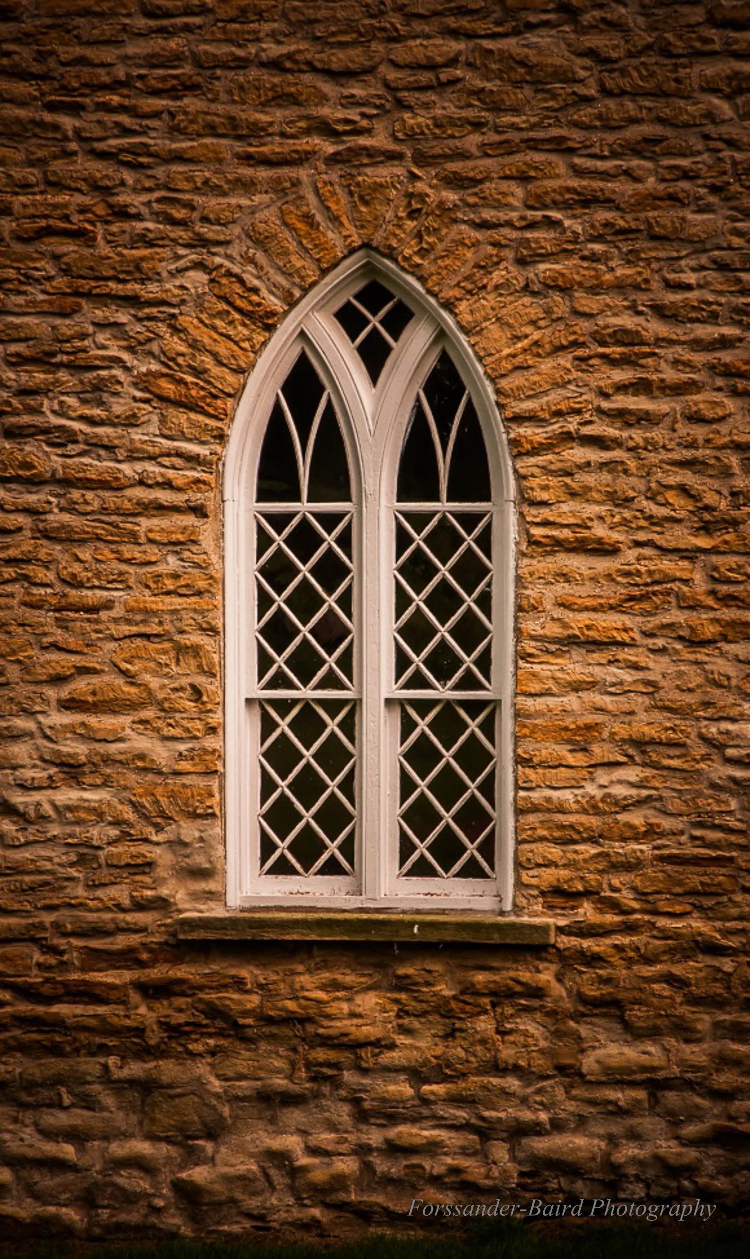 20130623-DSC_4245.jpg