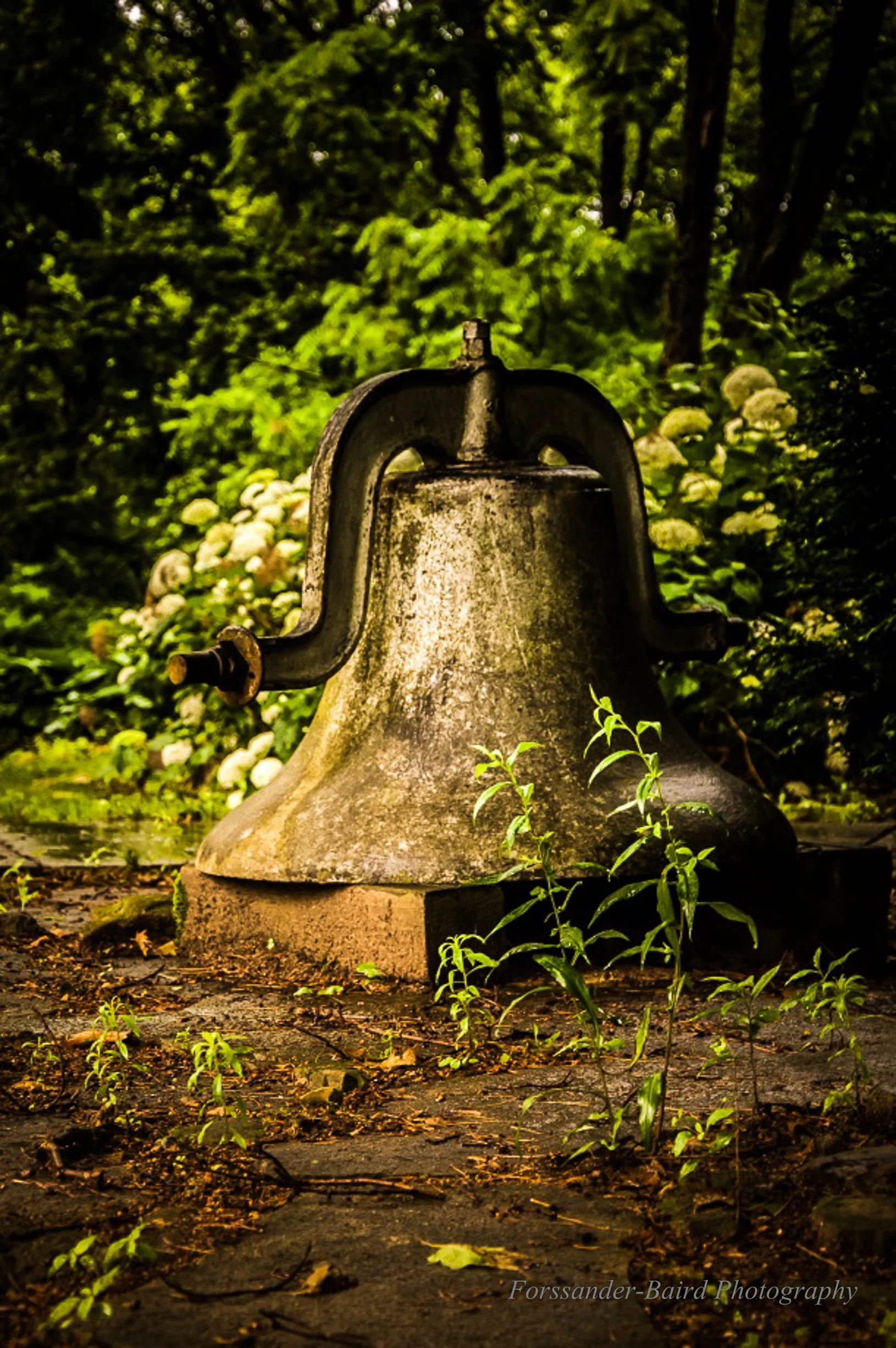 20130623-DSC_4251.jpg