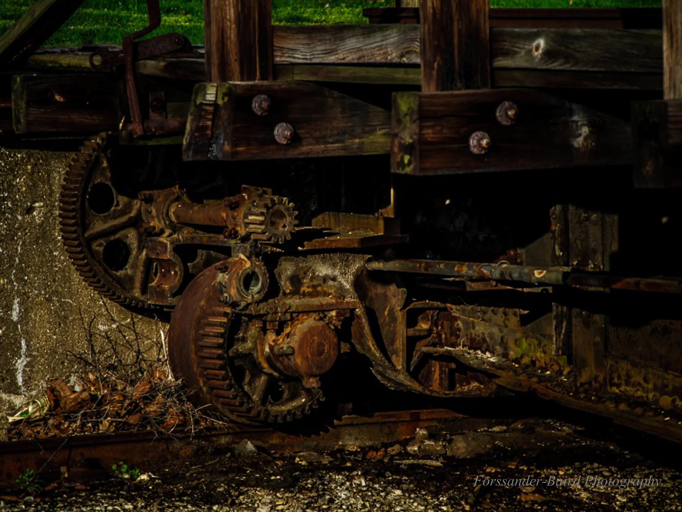 20130421-DSC_2349.jpg