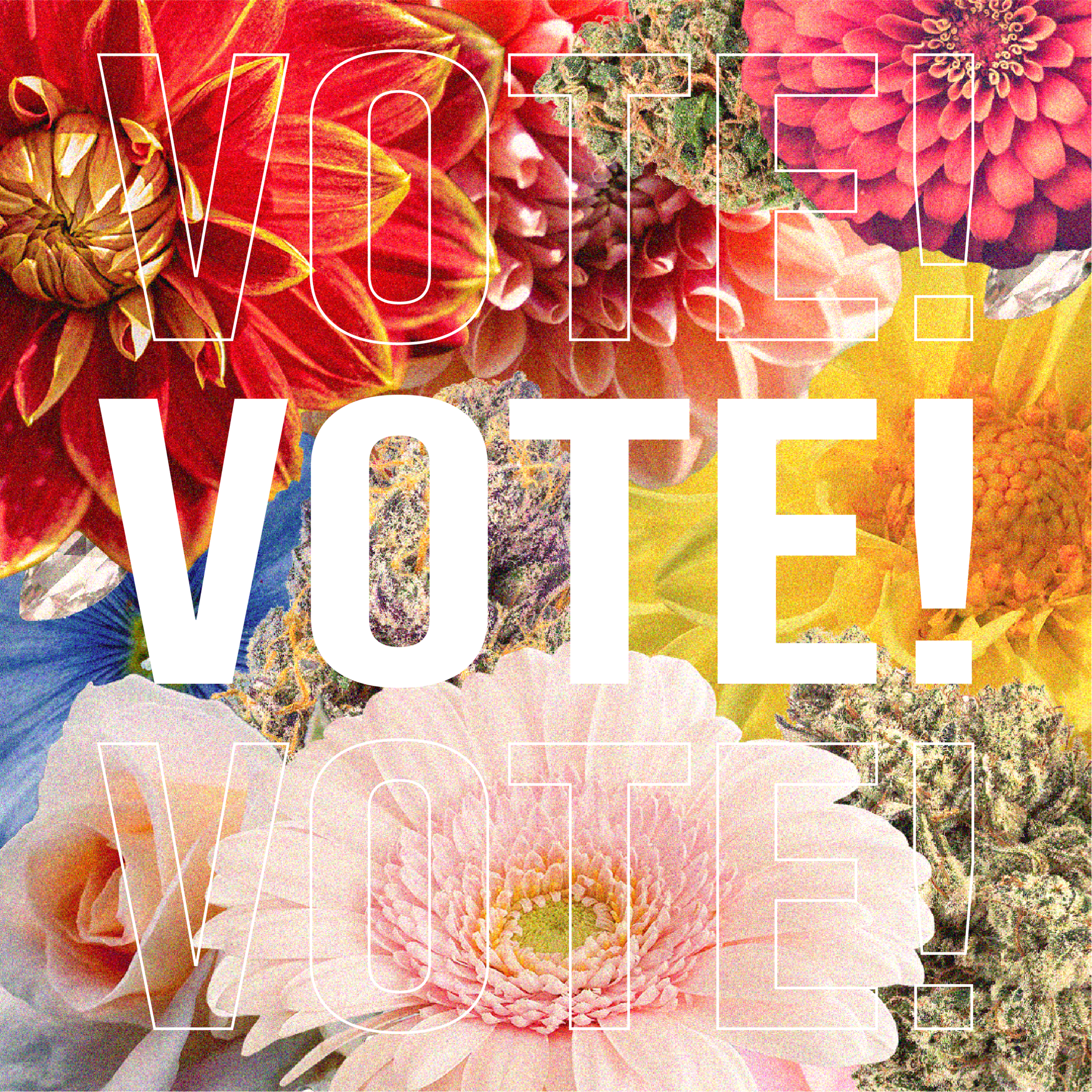 VOTE flowers.png