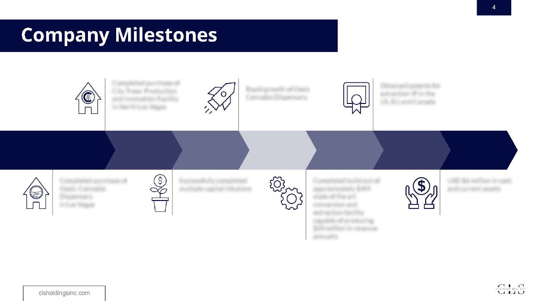 CLS Investor Presentation 12.21.2020_Page_04.jpg