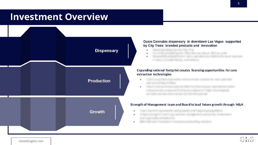 CLS Investor Presentation 12.21.2020_Page_05.jpg