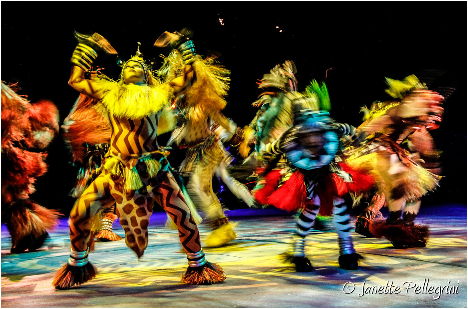  Festival of the Lion King 