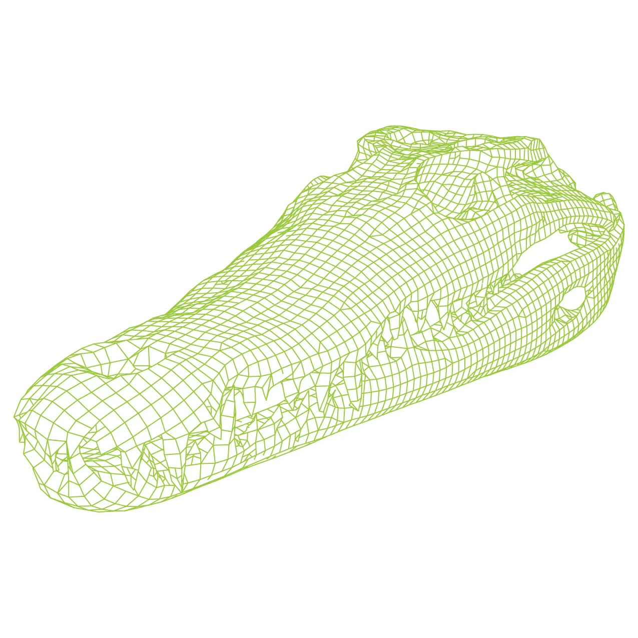 CROCODILE SKULL