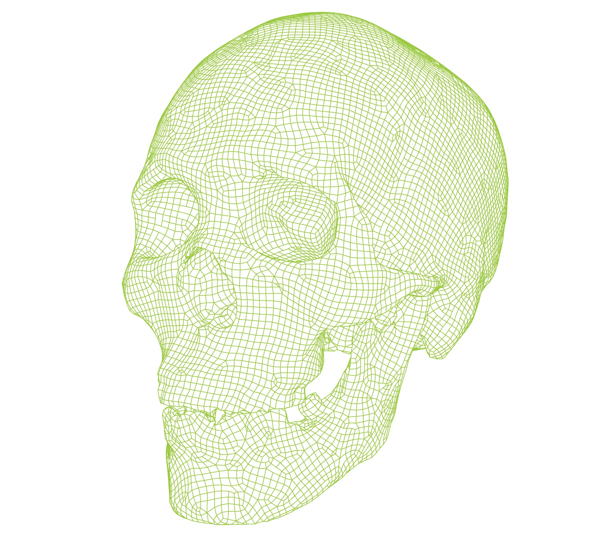 HUMAN SKULL