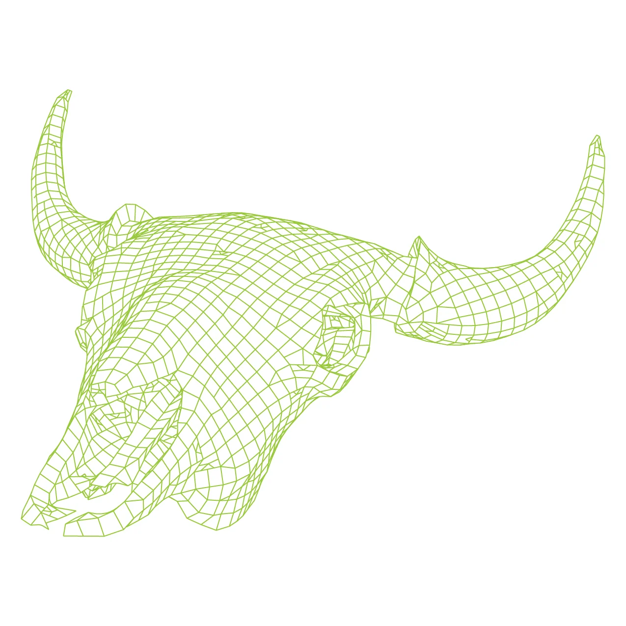 BISON SKULL