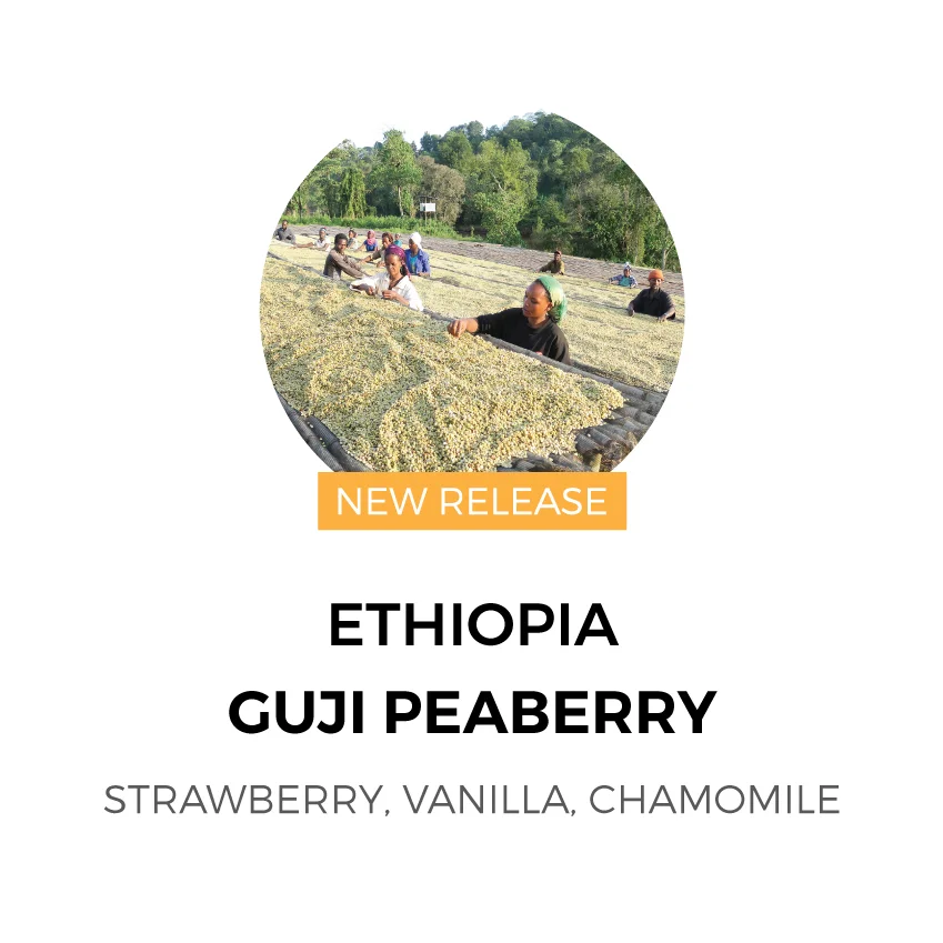 Ethiopia-Guji-Peaberry.jpg