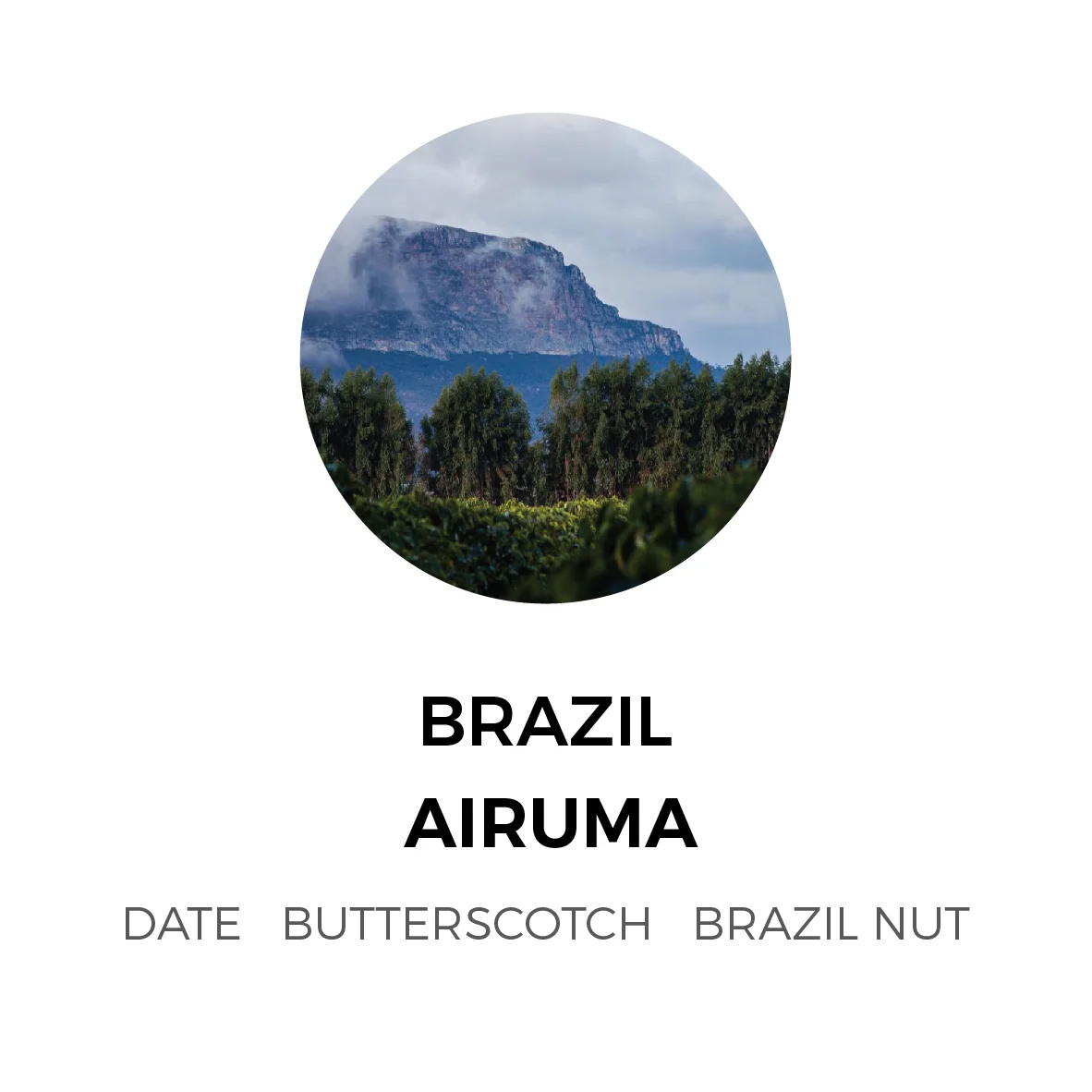 Brazil-Airuma-01-01.jpg