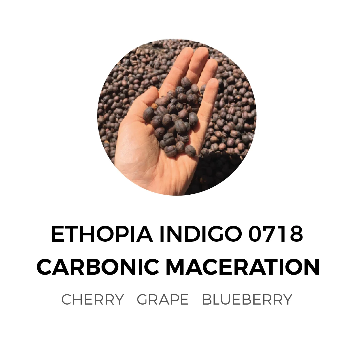Ethiopia-CM-01.jpg