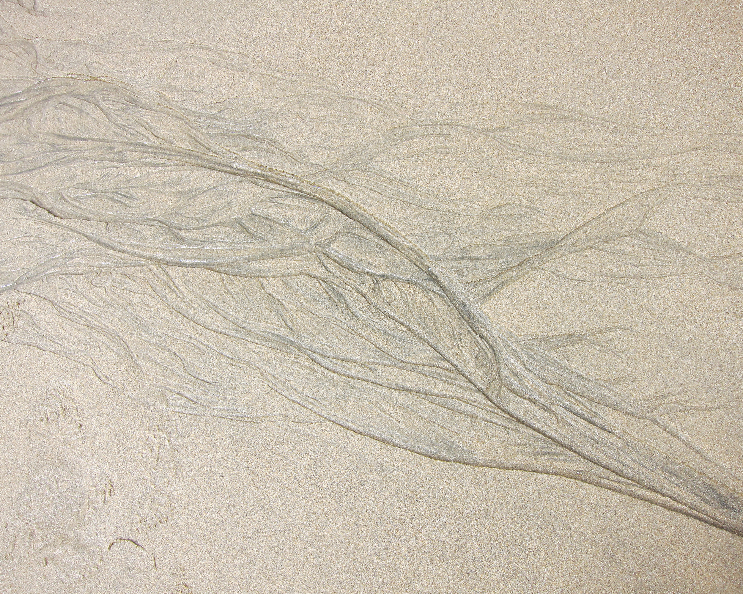 rivulets4.jpg
