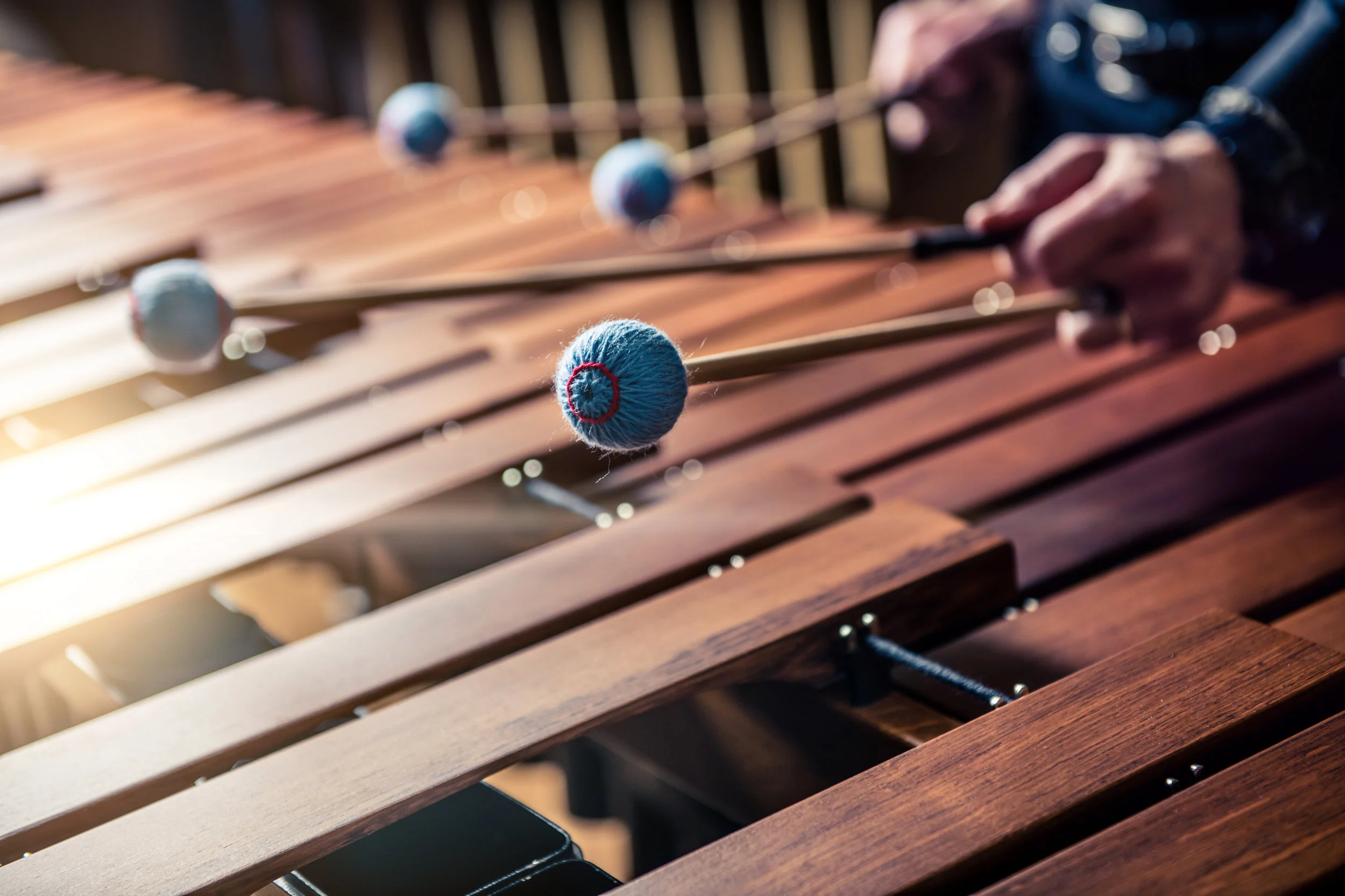 marimba_credit Travis Anderson.jpg
