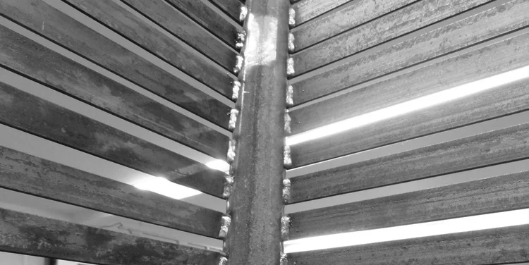 DSC00978blackwhite.jpg