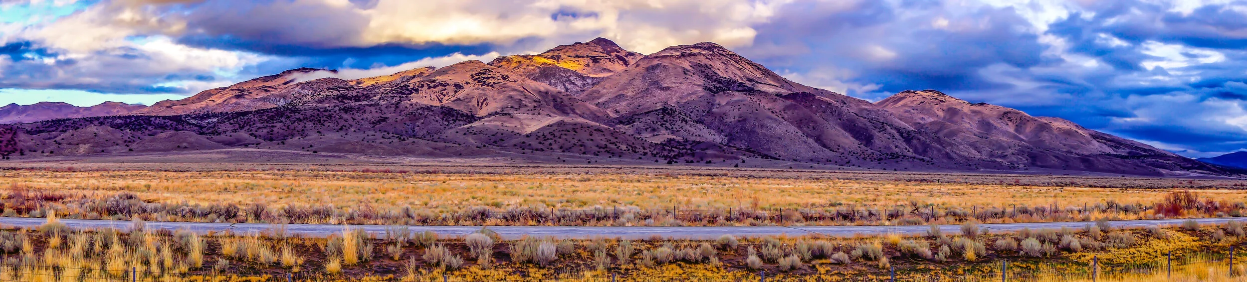 ProBrosLandscape (1 of 2).JPG