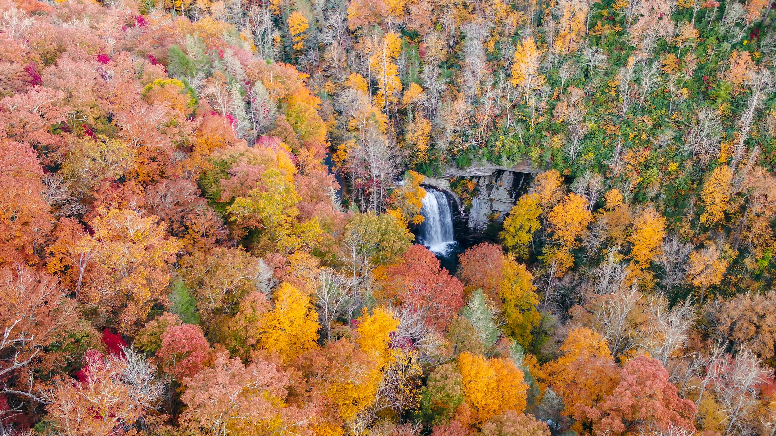ProBrosProBlueRidgeMt (1 of 13).JPG