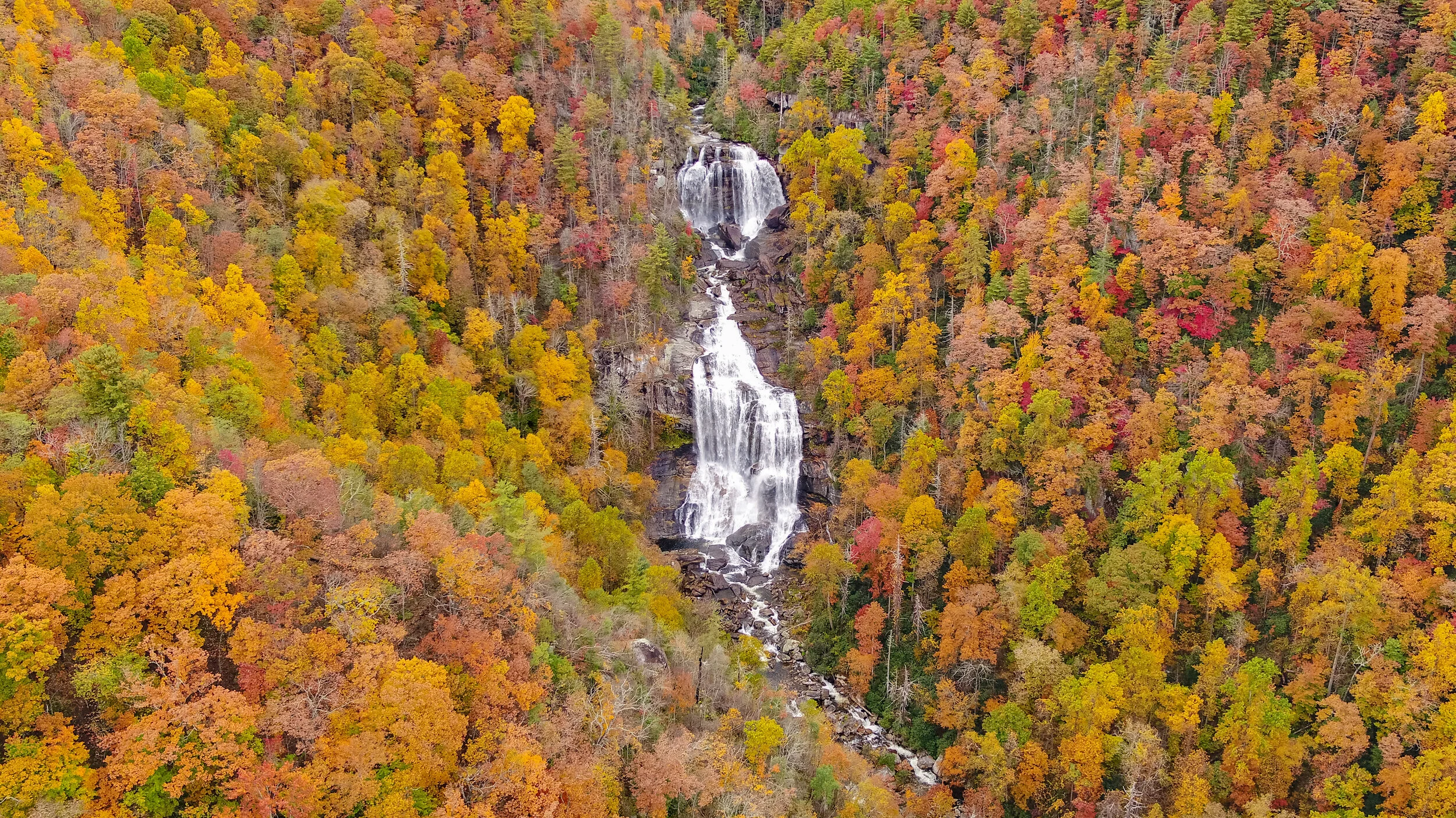 ProBrosProBlueRidgeMt (10 of 13).JPG