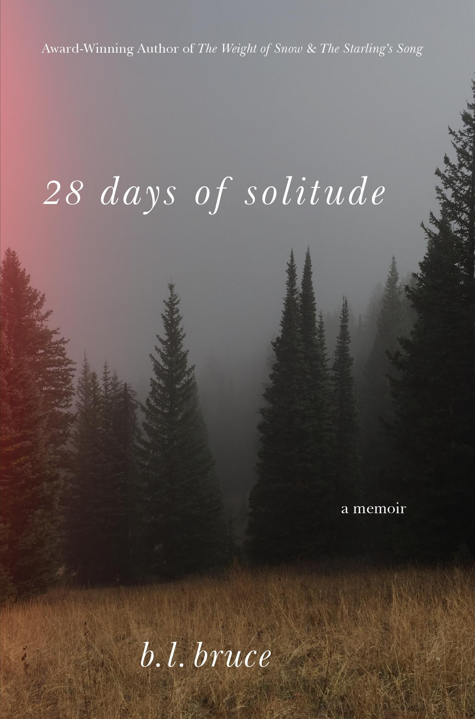 28 DAYS OF SOLITUDE: A MEMOIR
