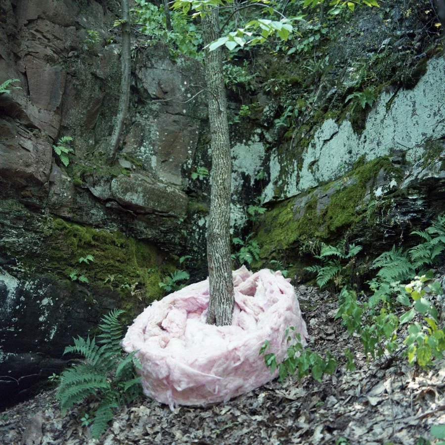 nest_008.jpeg