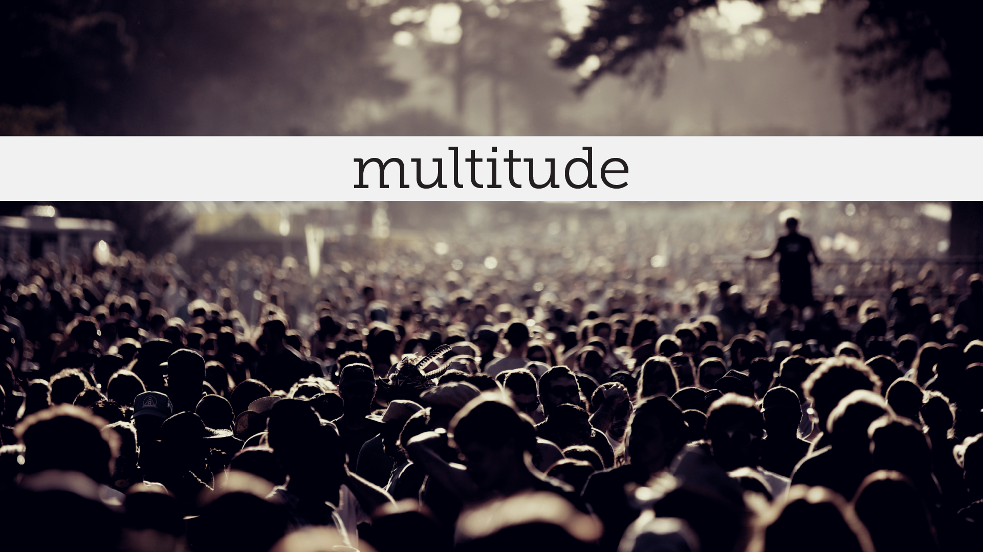 Multitude