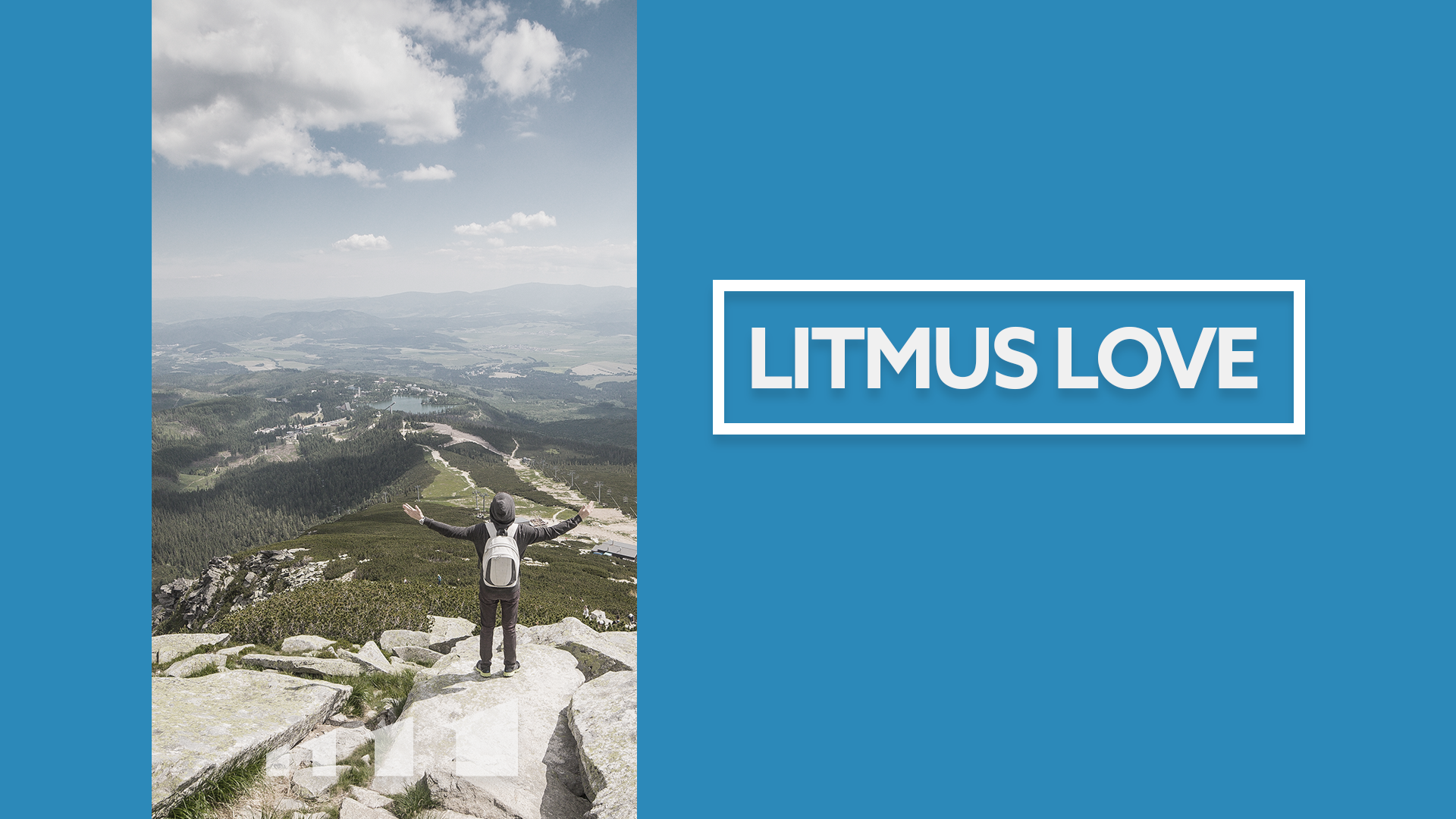 Litmus Love