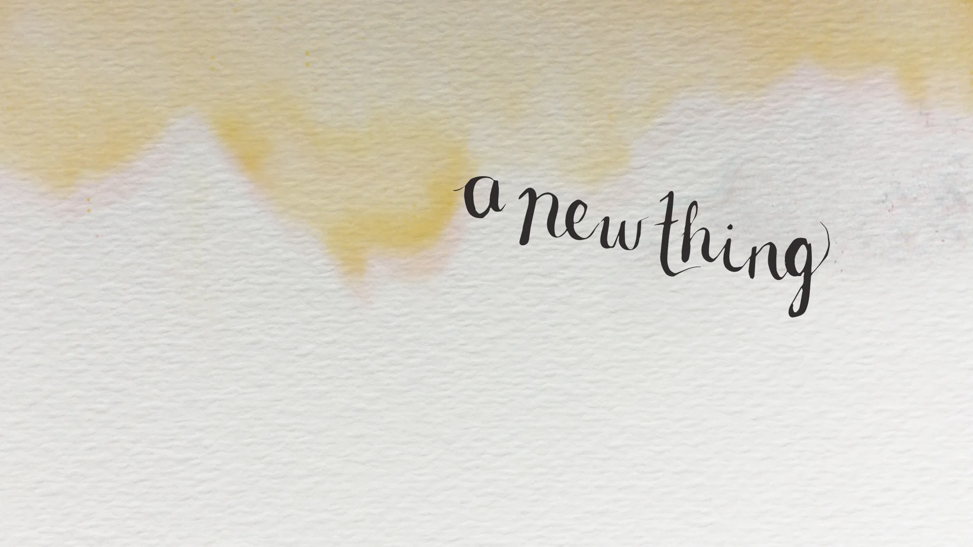 A New Thing
