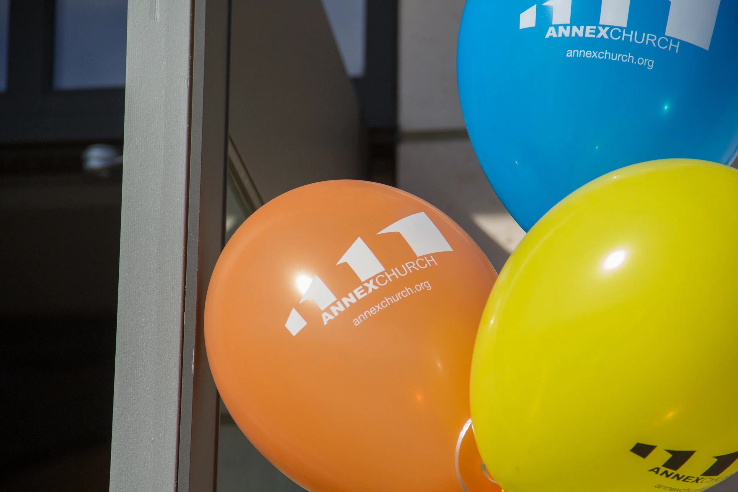 Annex-2016-11-13-4601.jpg