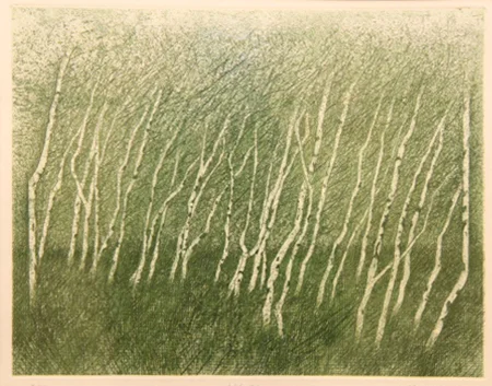 Arnold Dahlslett, Utsnitt, 73/75, 1979 Grafikk 