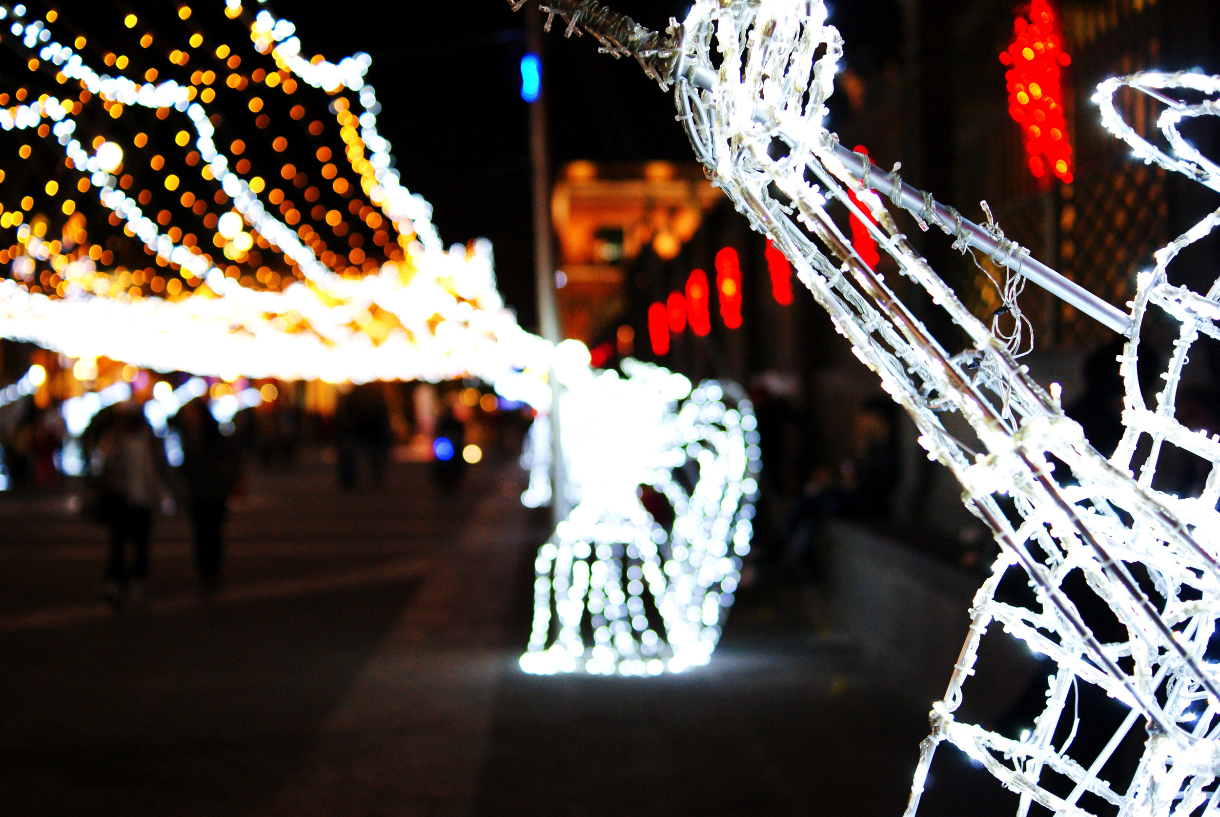 Christmas Lights in the Zocalo