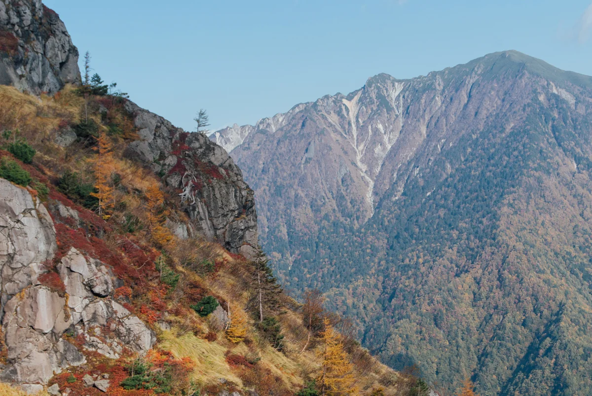 WEEK 11: RED, YELLOW, ORANGE, GREEN... BLUE, WHITE?