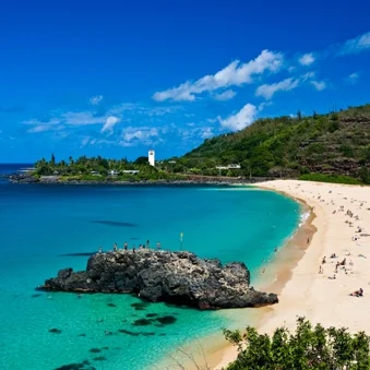 Signature Travel Network Millennials Event Showcasing Hawaii!