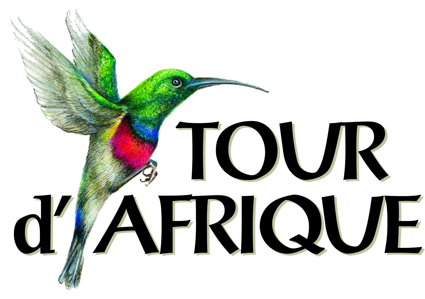 Tour-dAfrique.jpeg