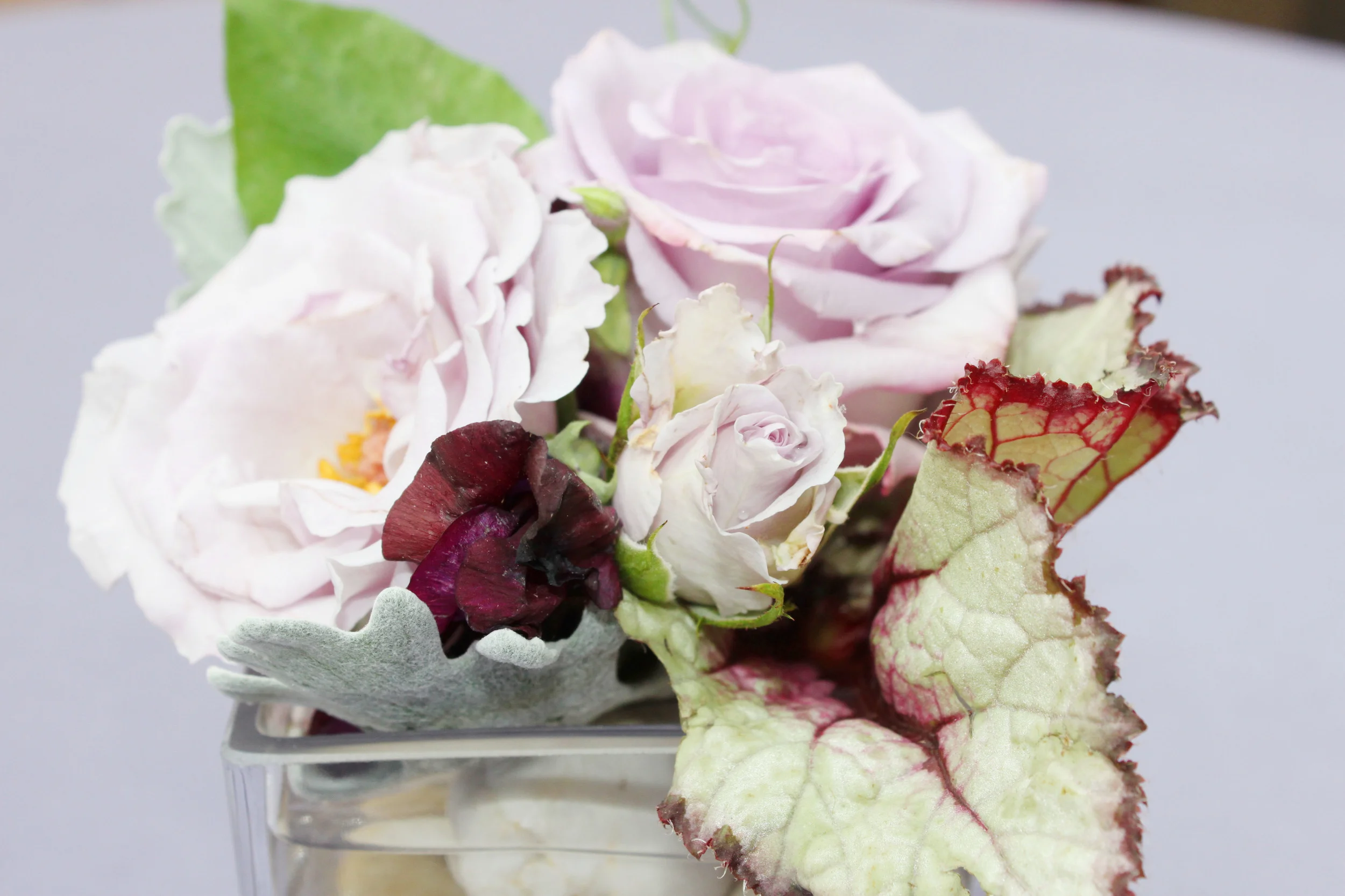 Caliifornos June Wedding 007.JPG