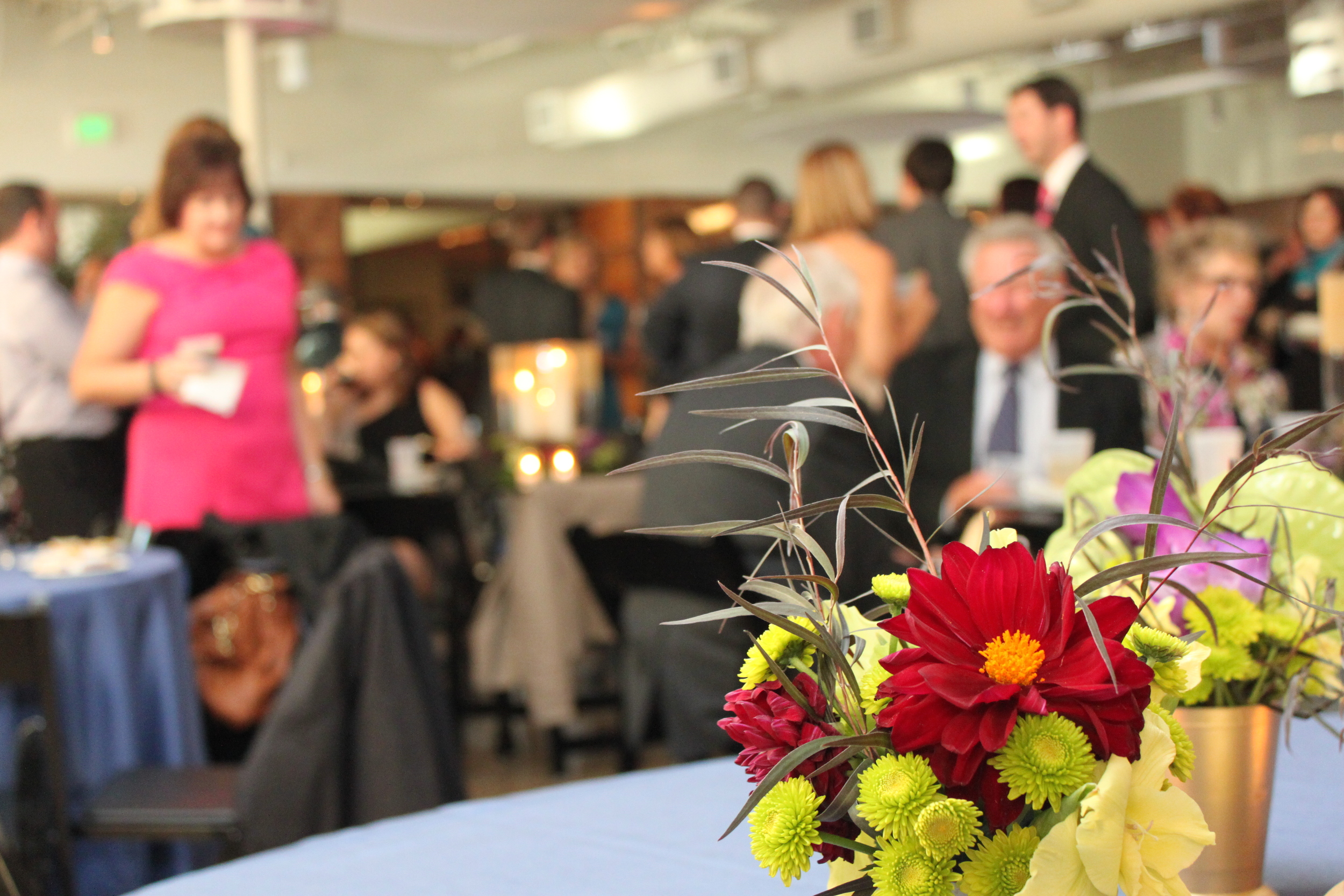 Californos Dan Meiners 031.JPG