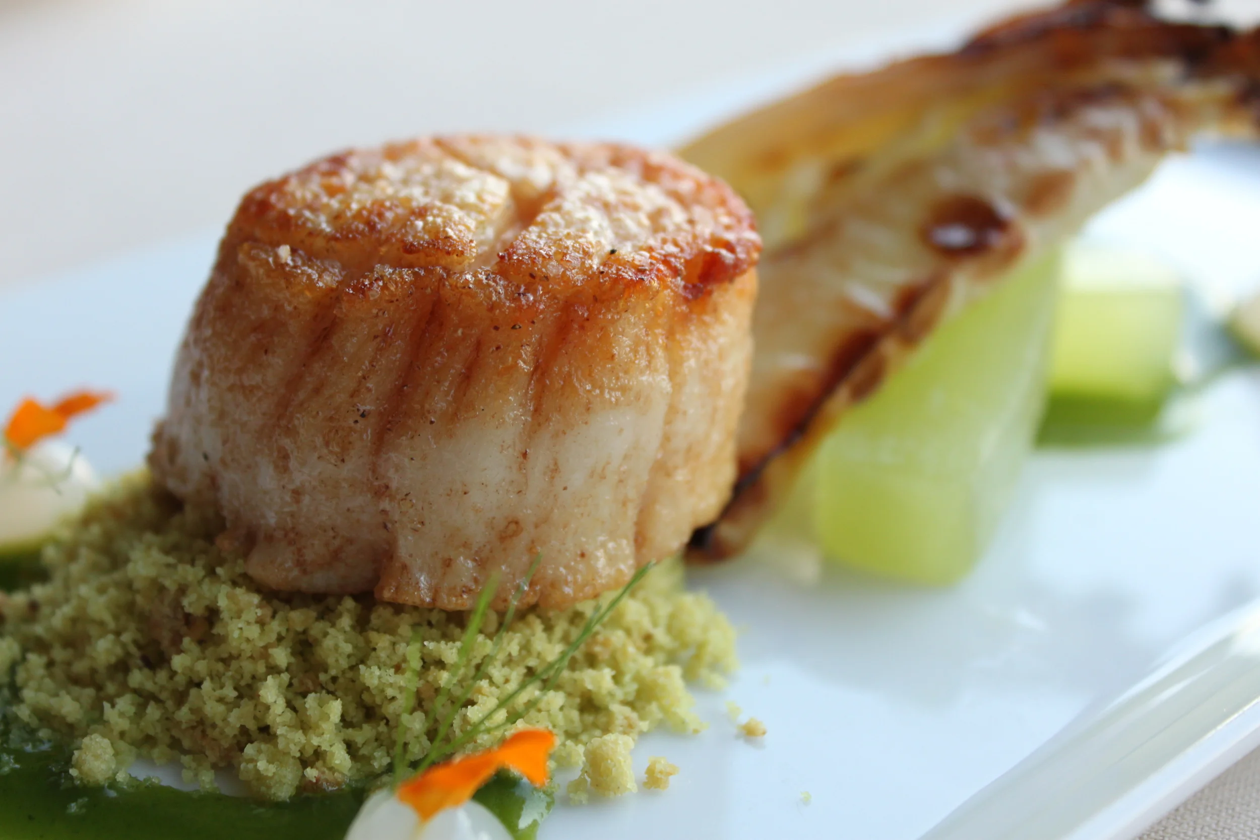 Copy of Pitch 3 081.JPG