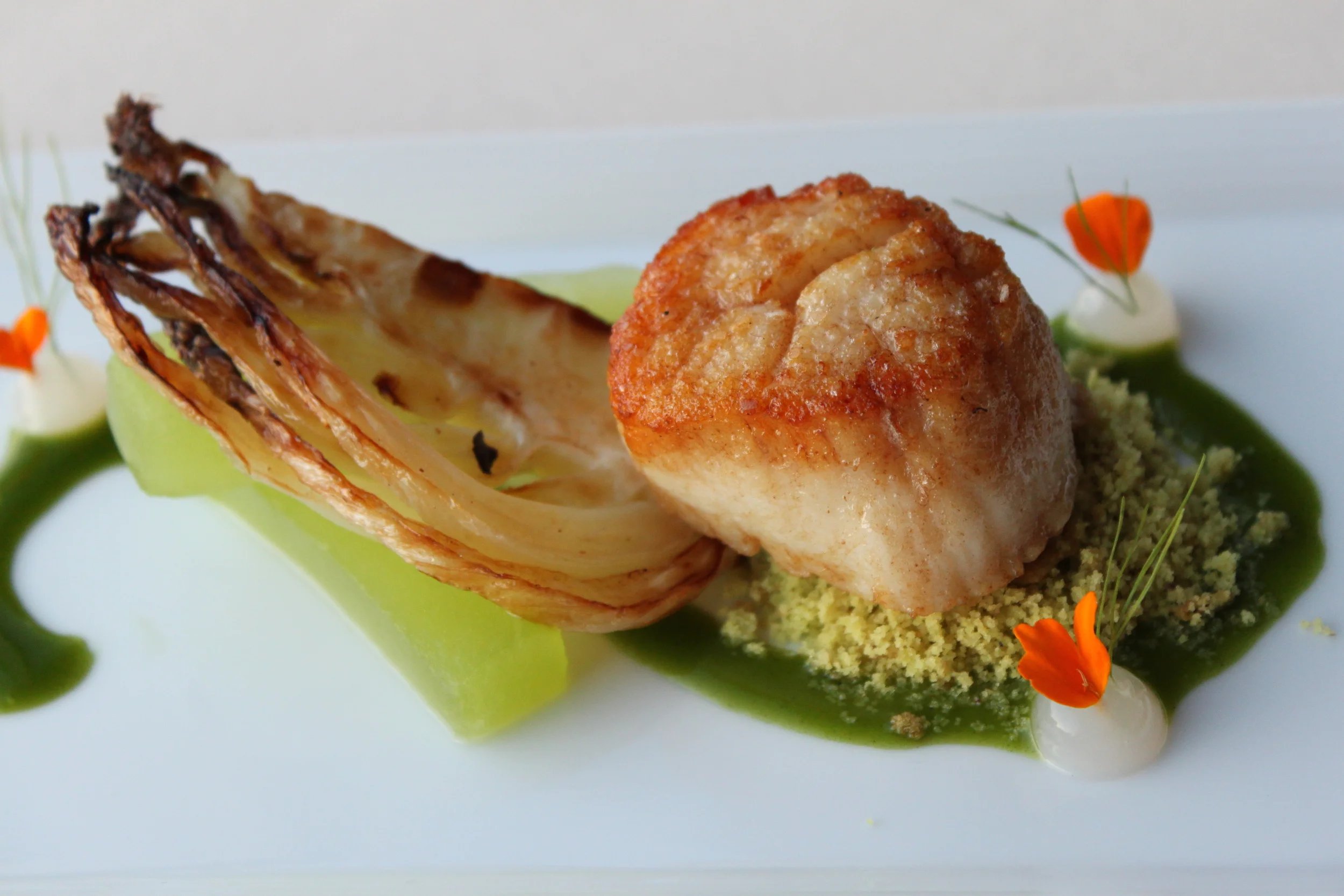 Copy of Pitch 3 085.JPG