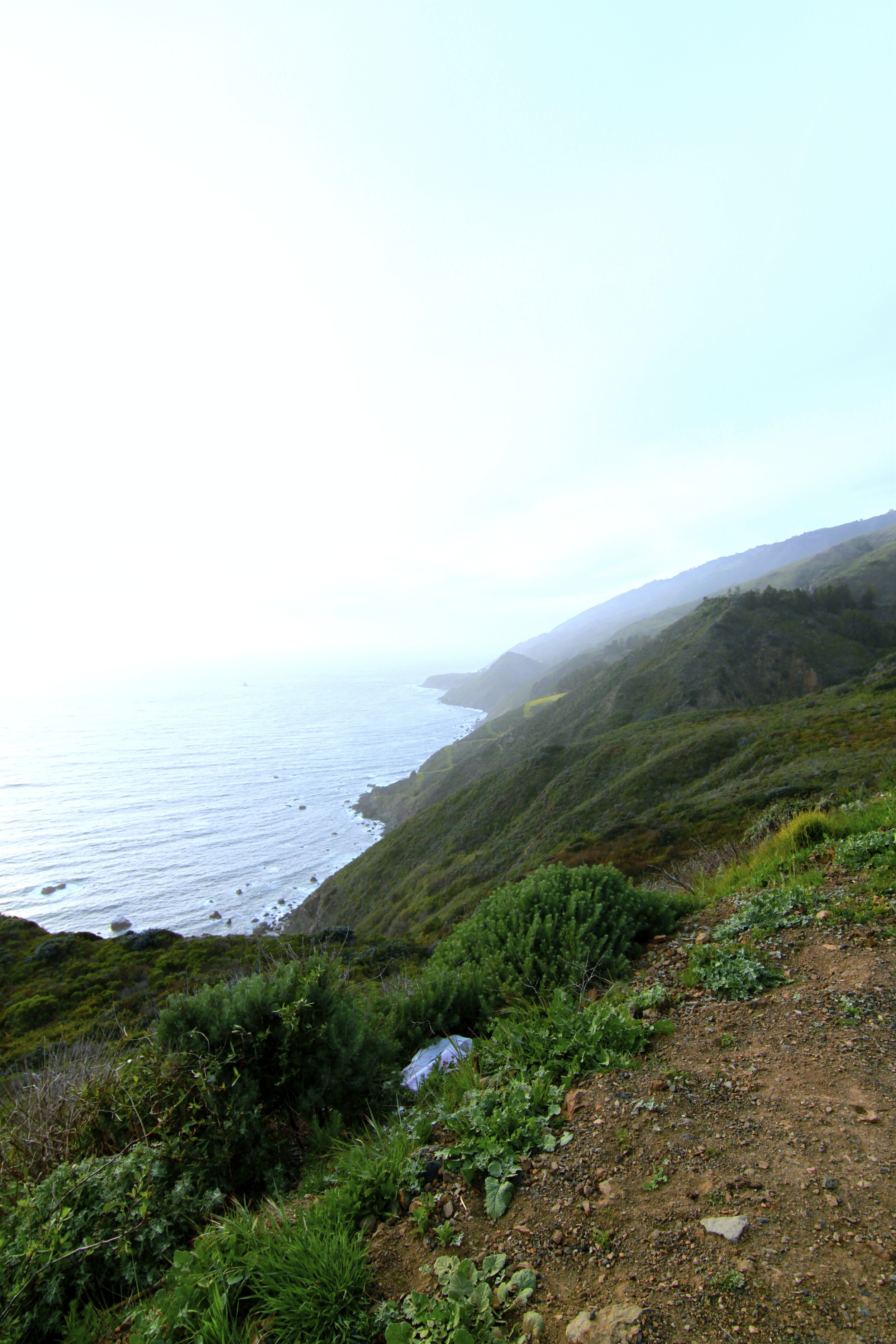 IMG_2464.jpg