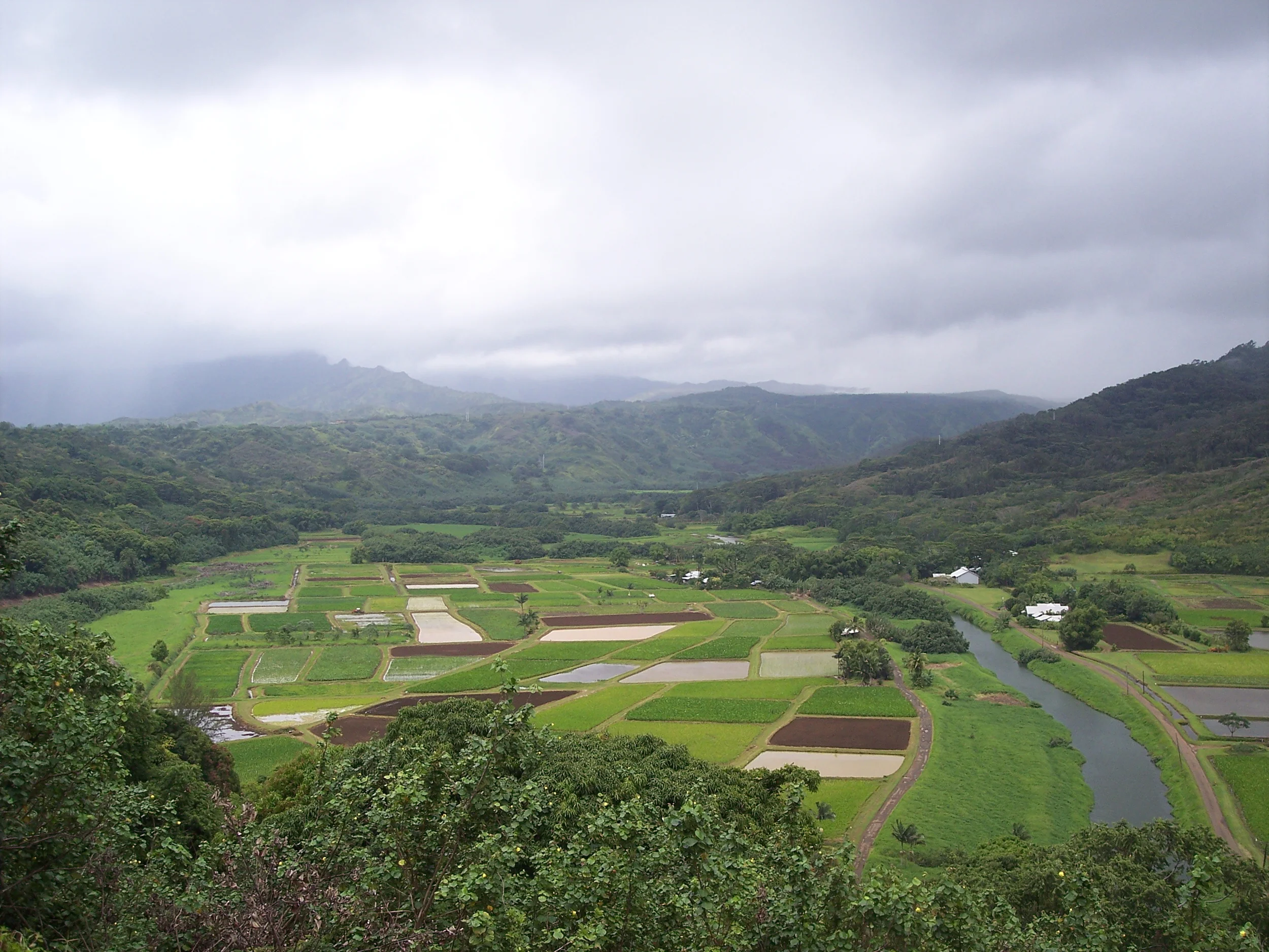 CrissyHawaii07 077.jpg
