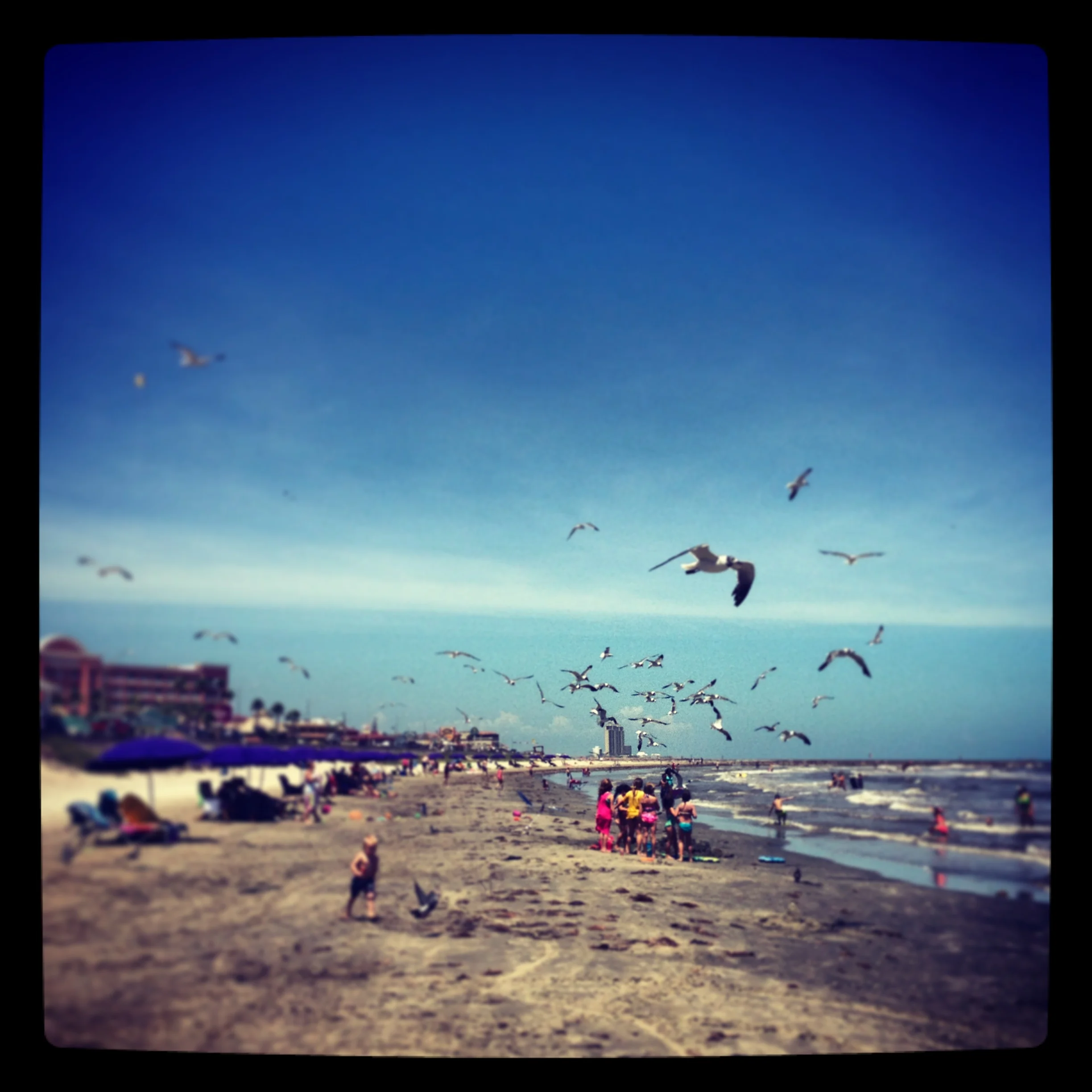 iphone Sept 2013 515.jpg