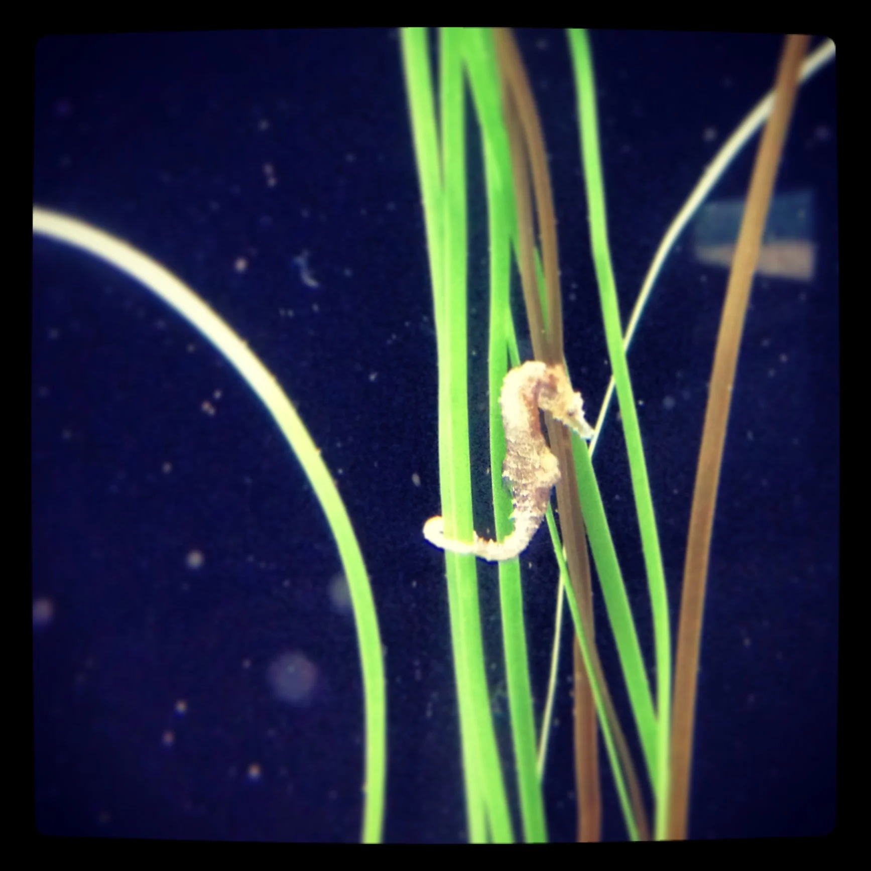 iphone Sept 2013 1022.jpg