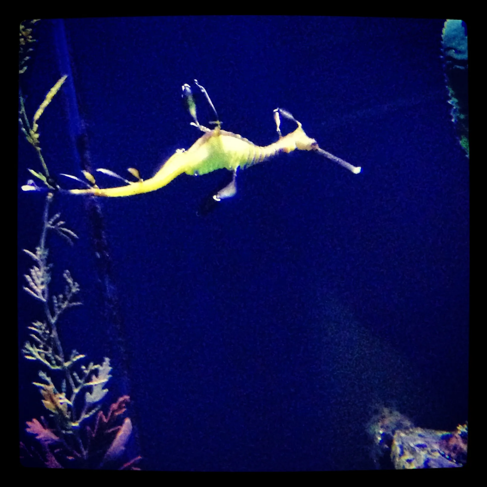 iphone Sept 2013 1028.jpg