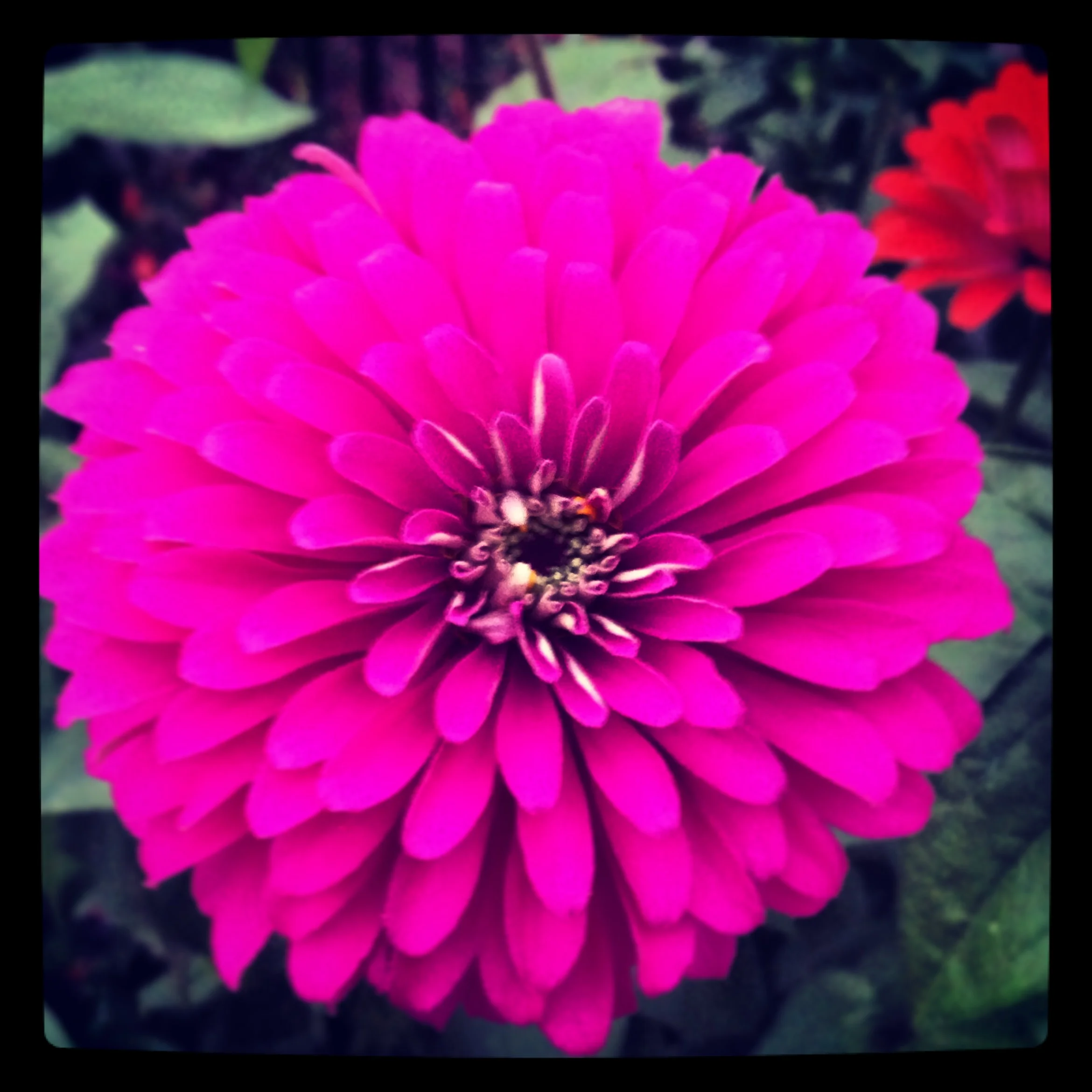iphone Sept 2013 1151.jpg