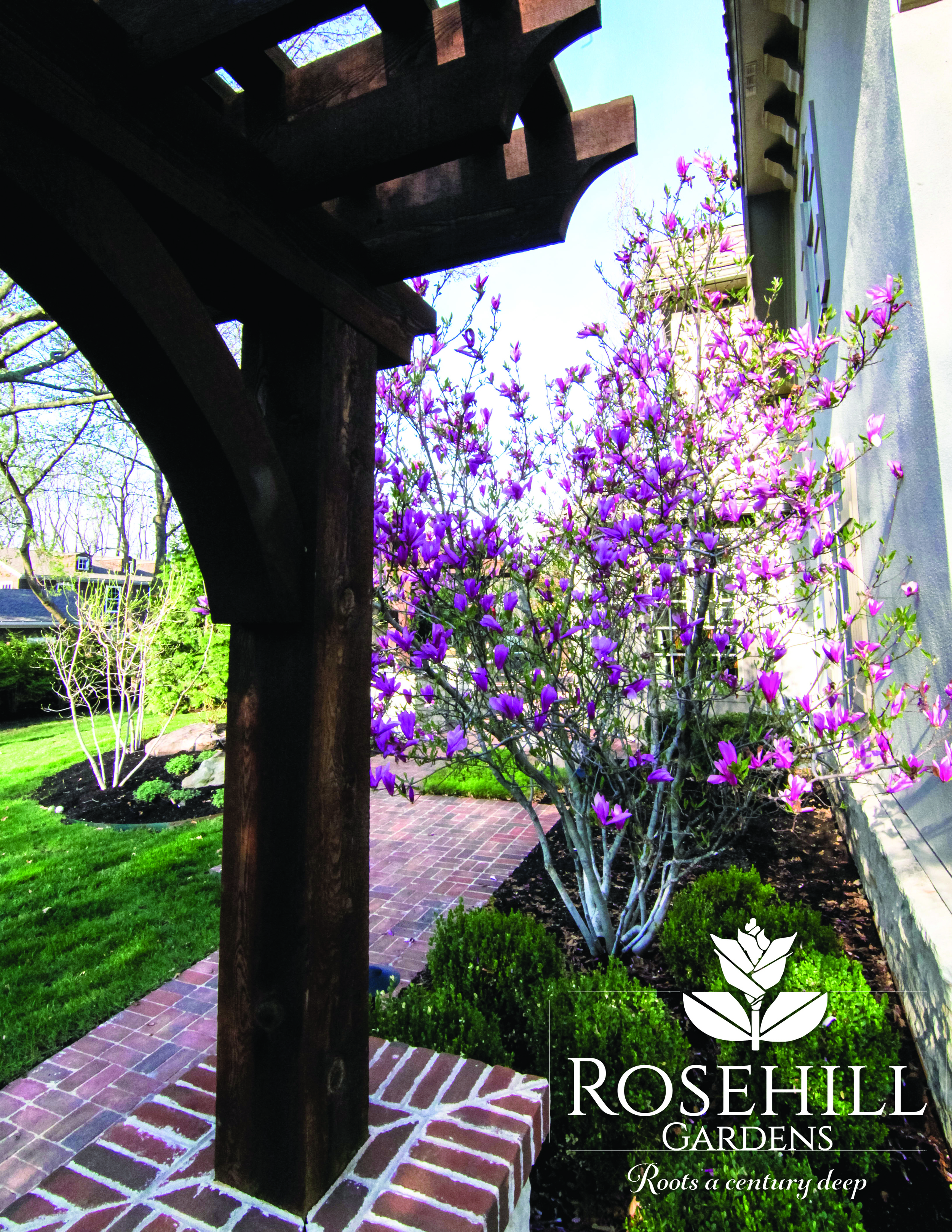 Rosehill Reprint10.jpg