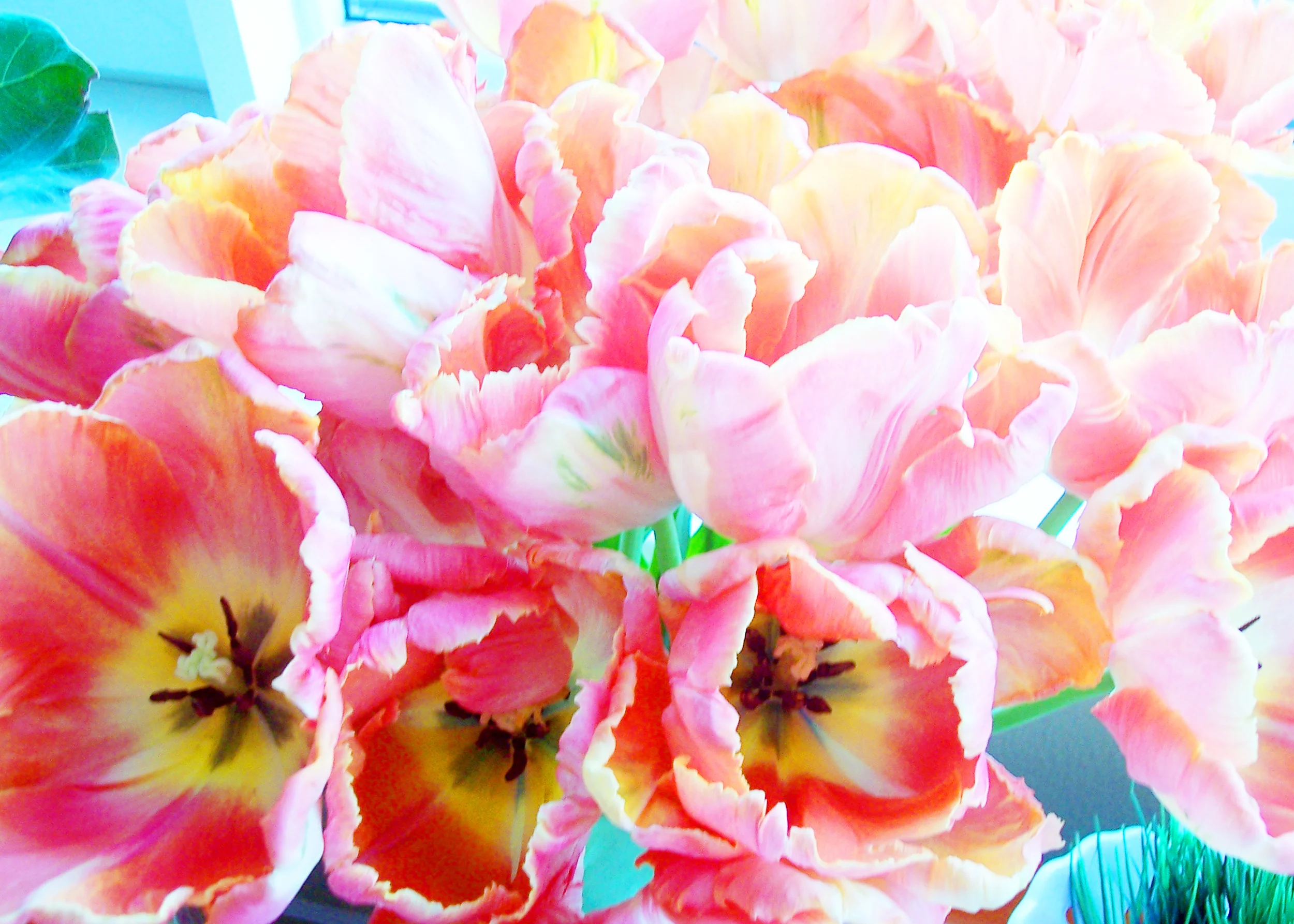 easter06_009.jpg