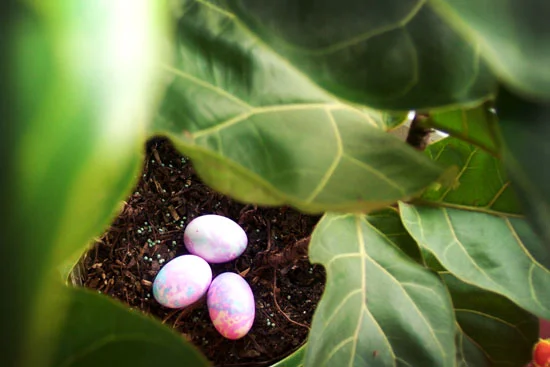 easter06_095.jpg