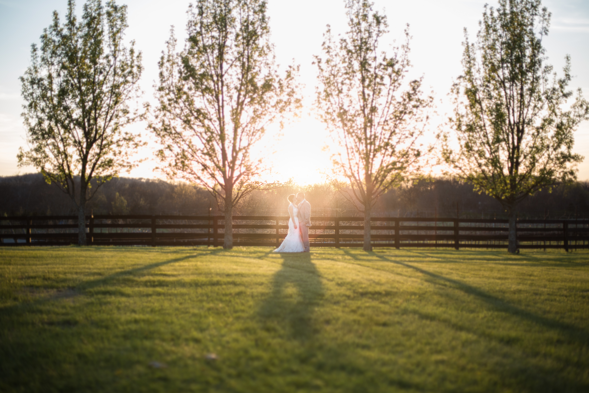 Wedding at sunset