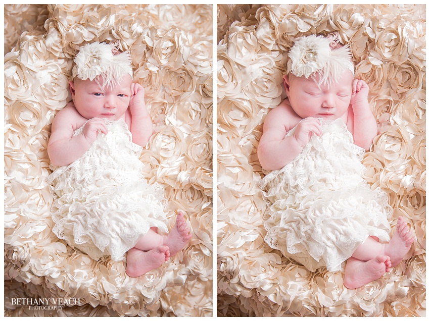 memphis newborn photographers