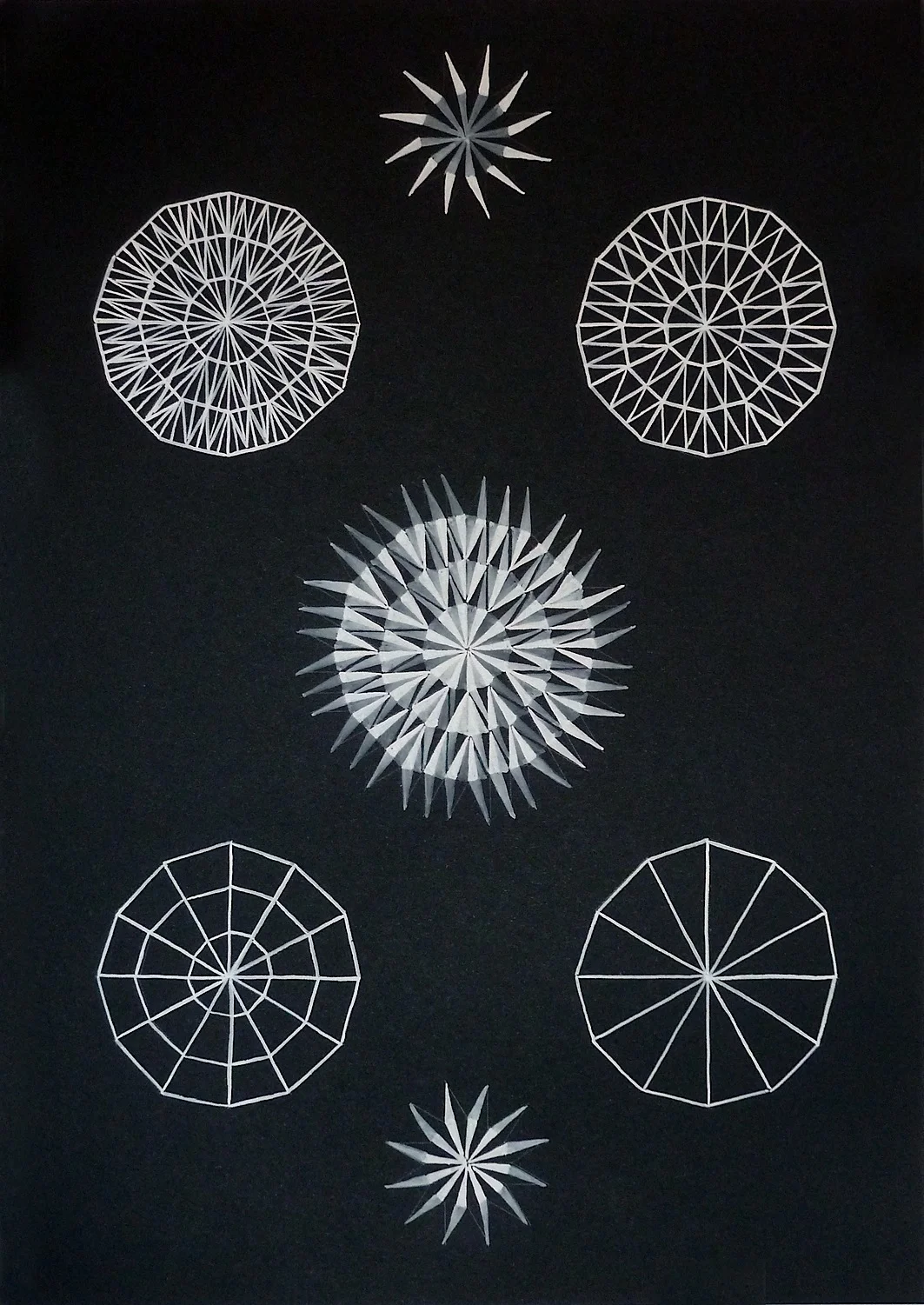 Julie Brooke, Seeds (2013)