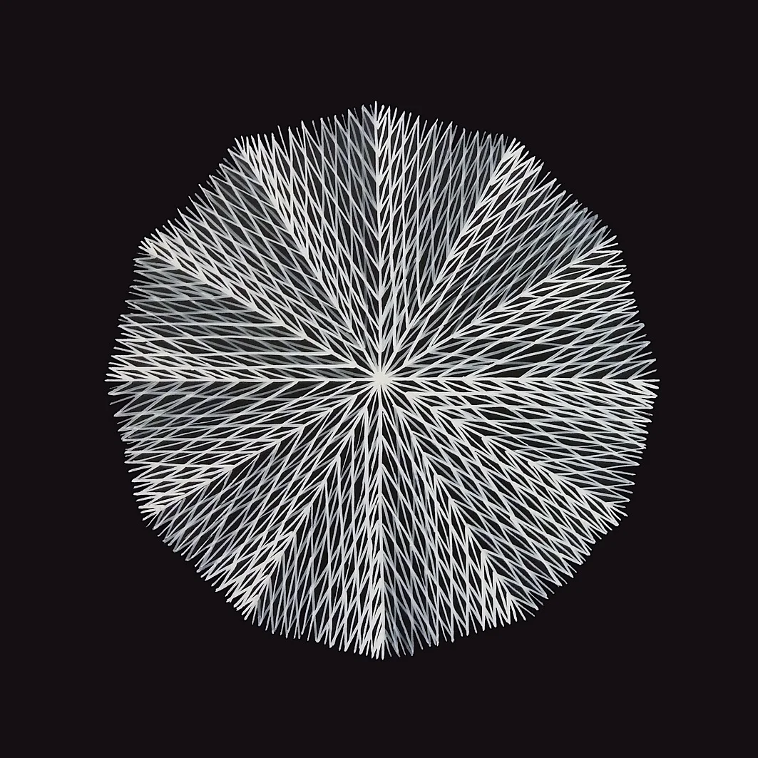 Julie Brooke, Lines of thought (2013)