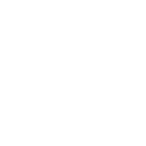 WebsiteIcons-WebDesignerW.png