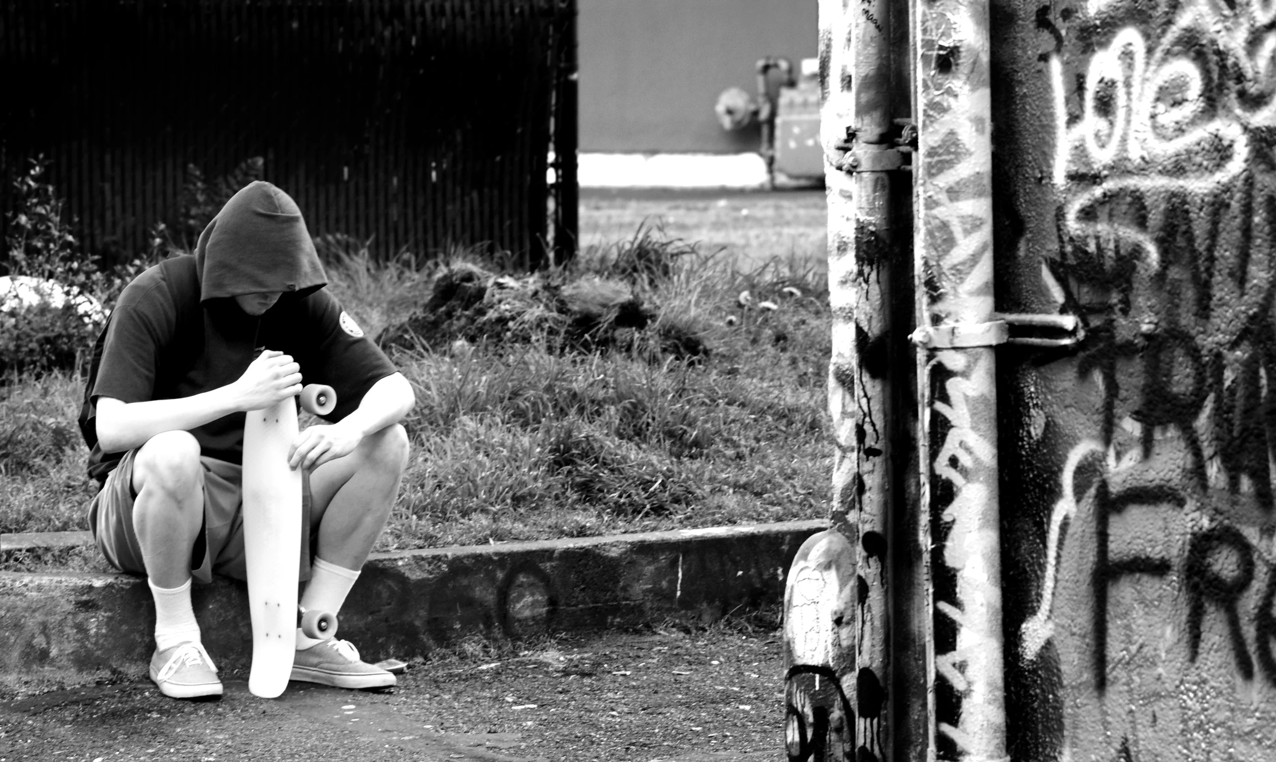 DSC_2610ba.jpg