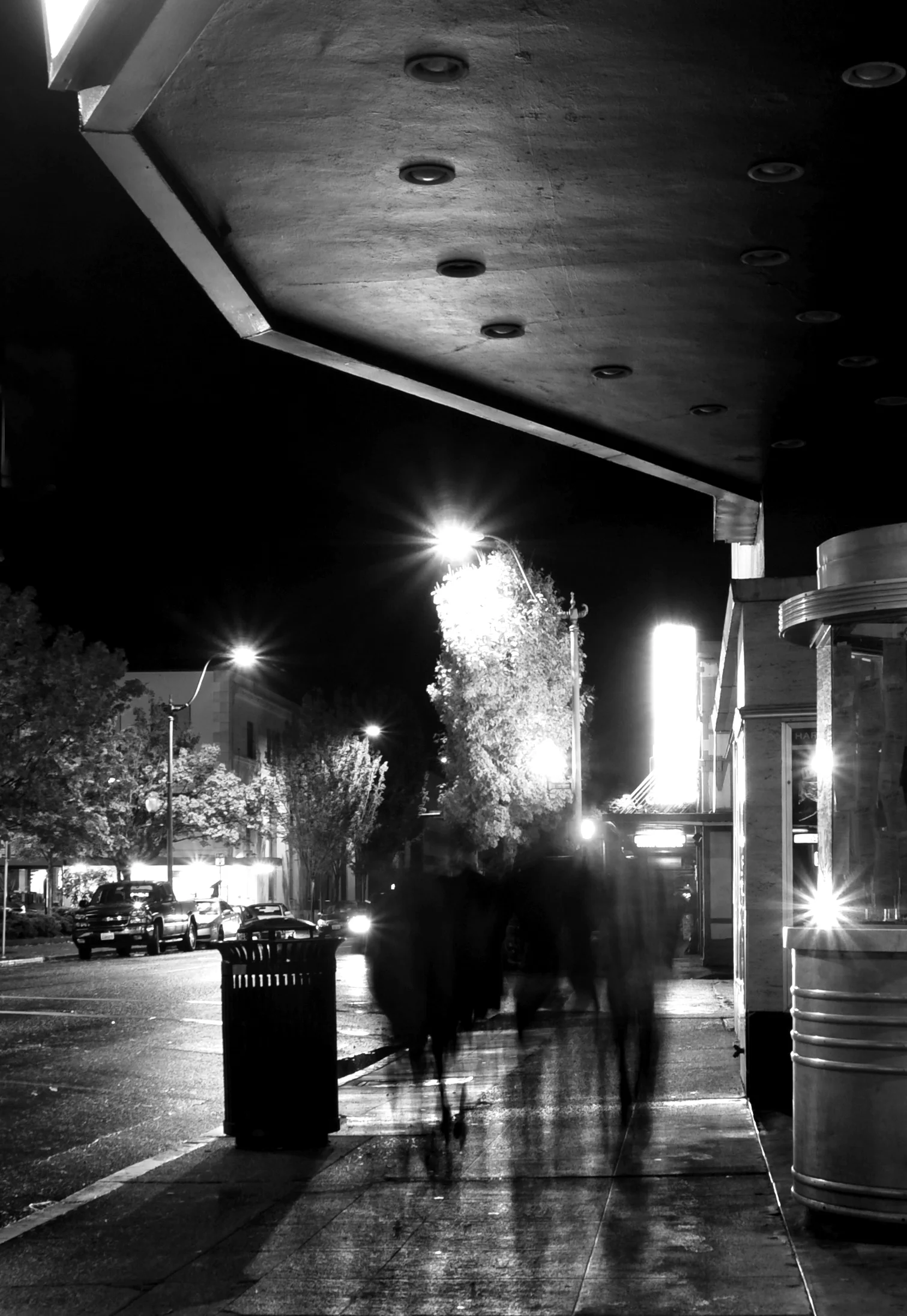 DSC_2701aaab.jpg